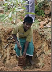 Sreenevasa planting a fruit tree at Karunya Mane